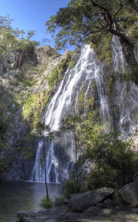 Home - Chimanimani