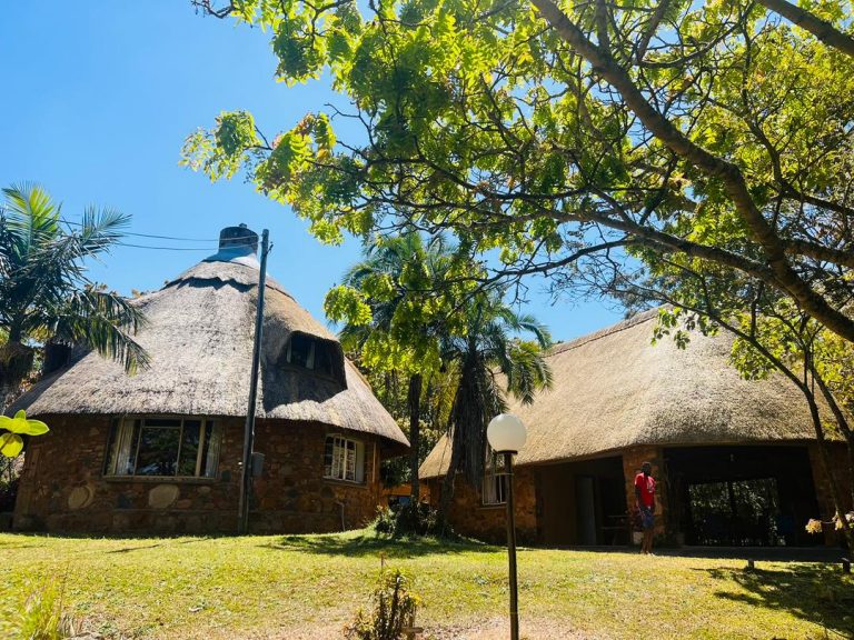 01BB945E 75D9 4368 B3AA B6DF7777B5CE 768x576