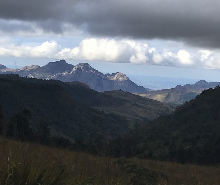 25149852 7E4A 4C7A 862D D7E246DD1EB3 768x647