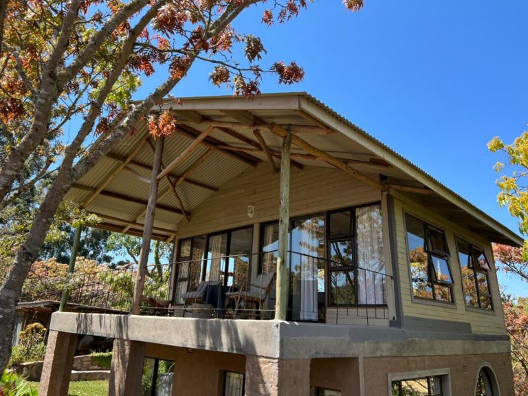 B45D09C3 7290 4967 993A 4802461D78D7 768x576